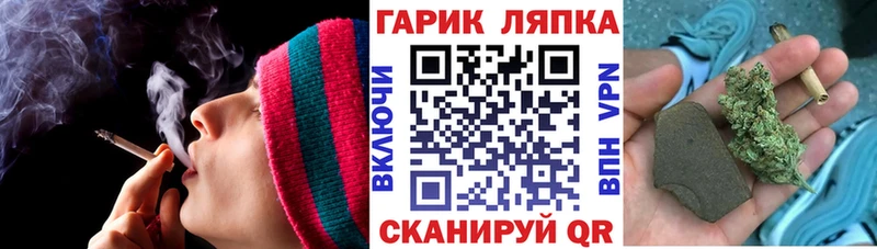купить наркоту  Жуковский  omg зеркало  ГАШ индика сатива 