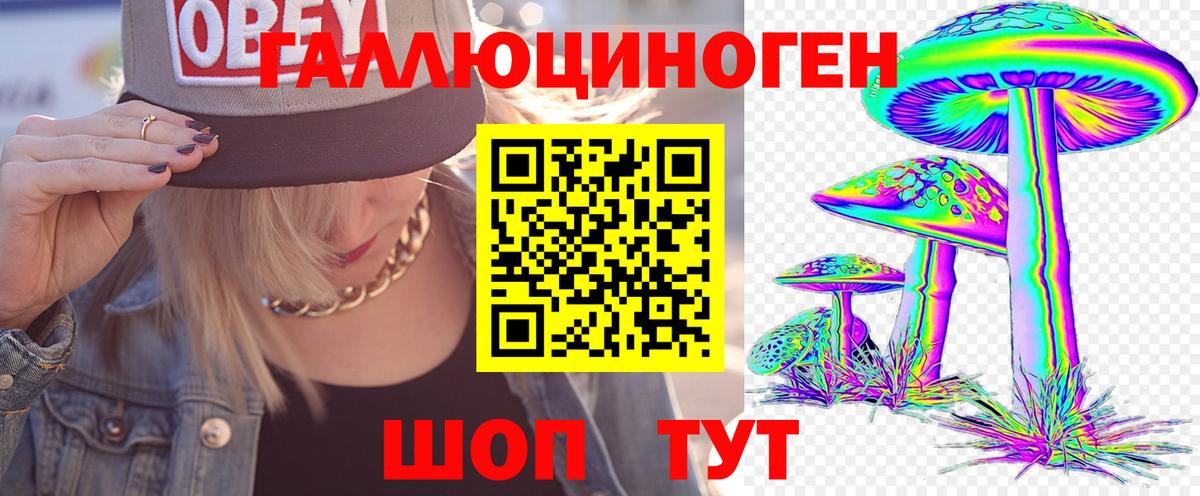 Жуковский  Псилоцибиновые грибы Cubensis  Вход с VPN 